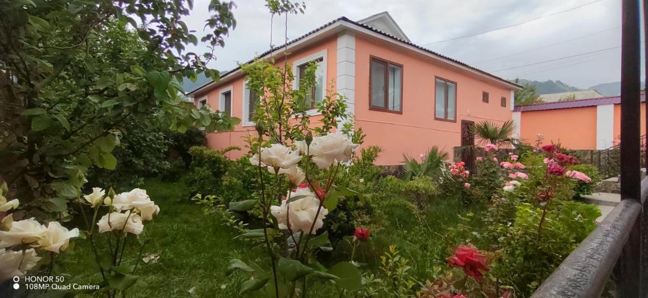 Gabala Mountains Villa Экстерьер фото